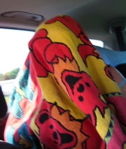 On the road to Bonnaroo being silly.
