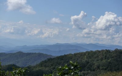 The Blue Ridge Parkway: A Mountain Soliloquy (Sonic Highways – Part IV)